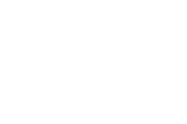 wordpress licon